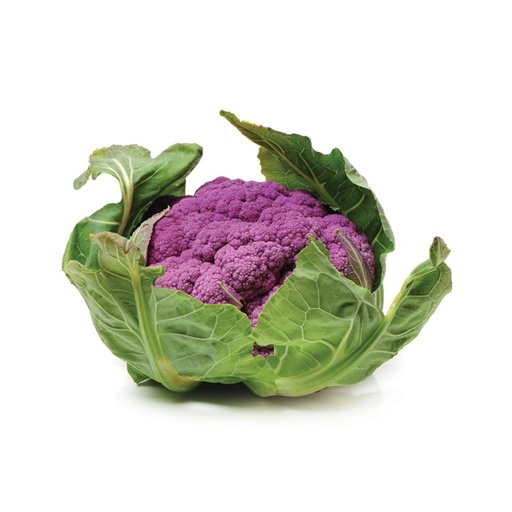 [18346] Cauliflower Purple