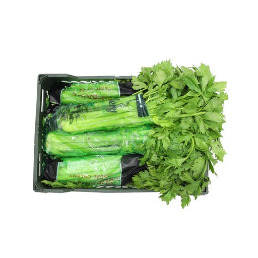 [18087] Celery Box (Iran)