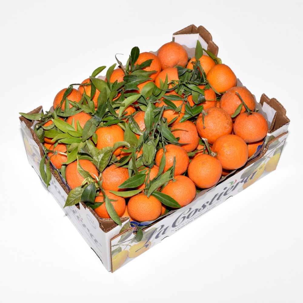 [3277] Clementine With Leaf (Mandarin) Box