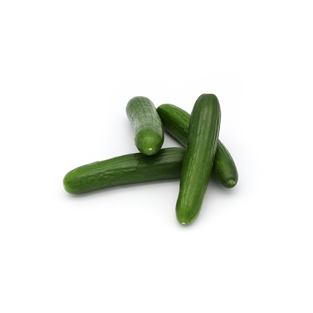 [1106] Cucumber