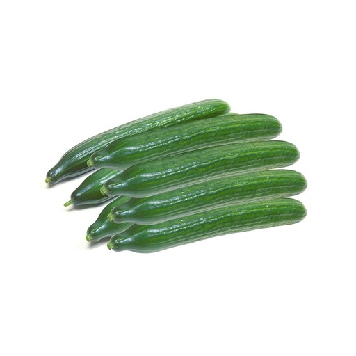 [3310] Cucumber (Holland)