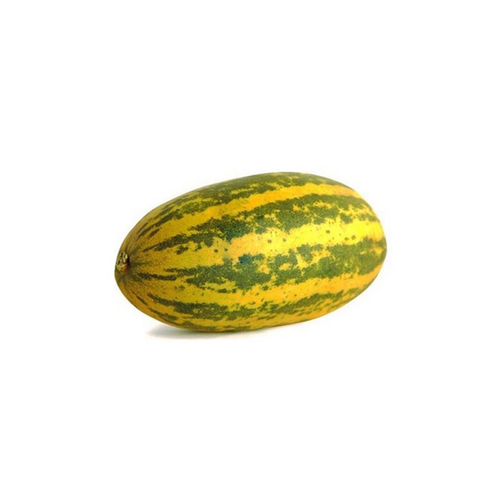 [1109] Cucumber Yellow (Vellari)