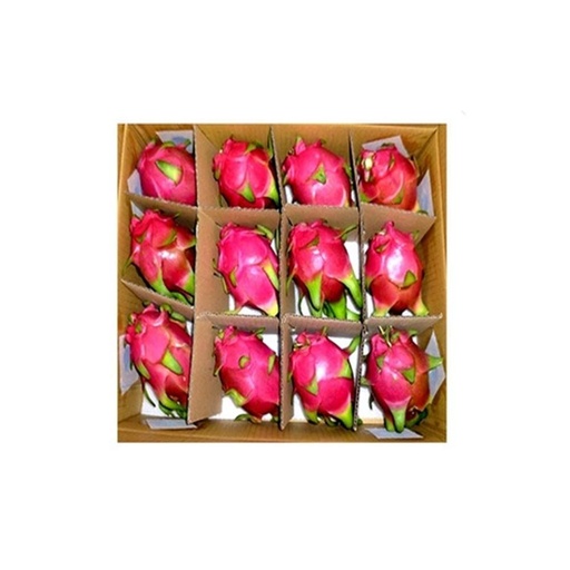 [3362] Dragon Fruit White Box