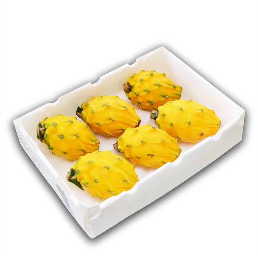 [1129] Dragon Fruit Yellow Box