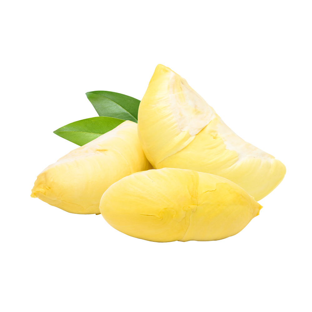 [3376] Durian Fruit Peeled