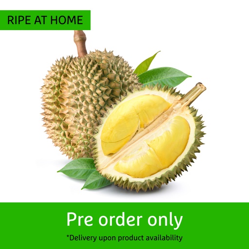 [11007] Durian Fruit Whole