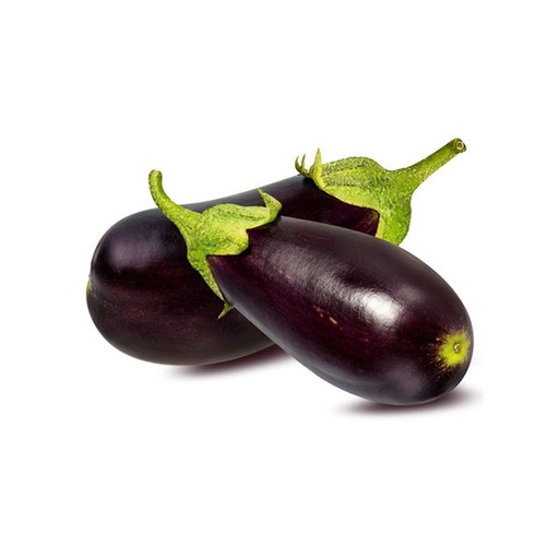 [1119] Eggplant Premium