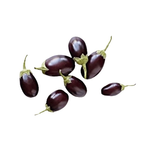 [1121] Eggplant Baby Small