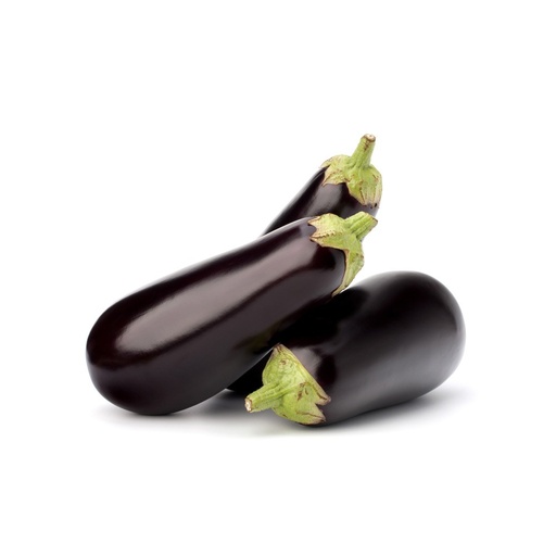 [3394] Eggplant Holland