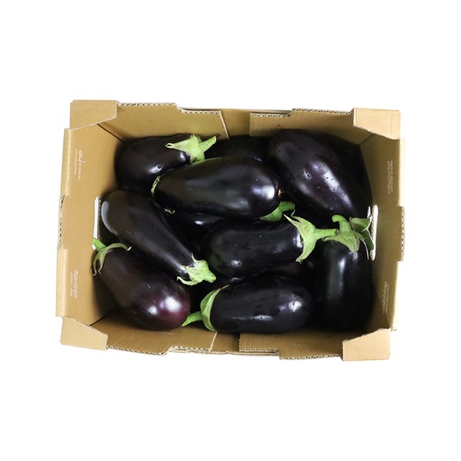 [19112] Eggplant Local Box