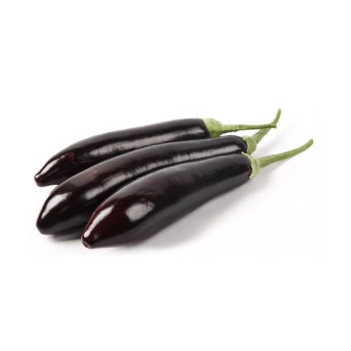 [1124] Eggplant Long