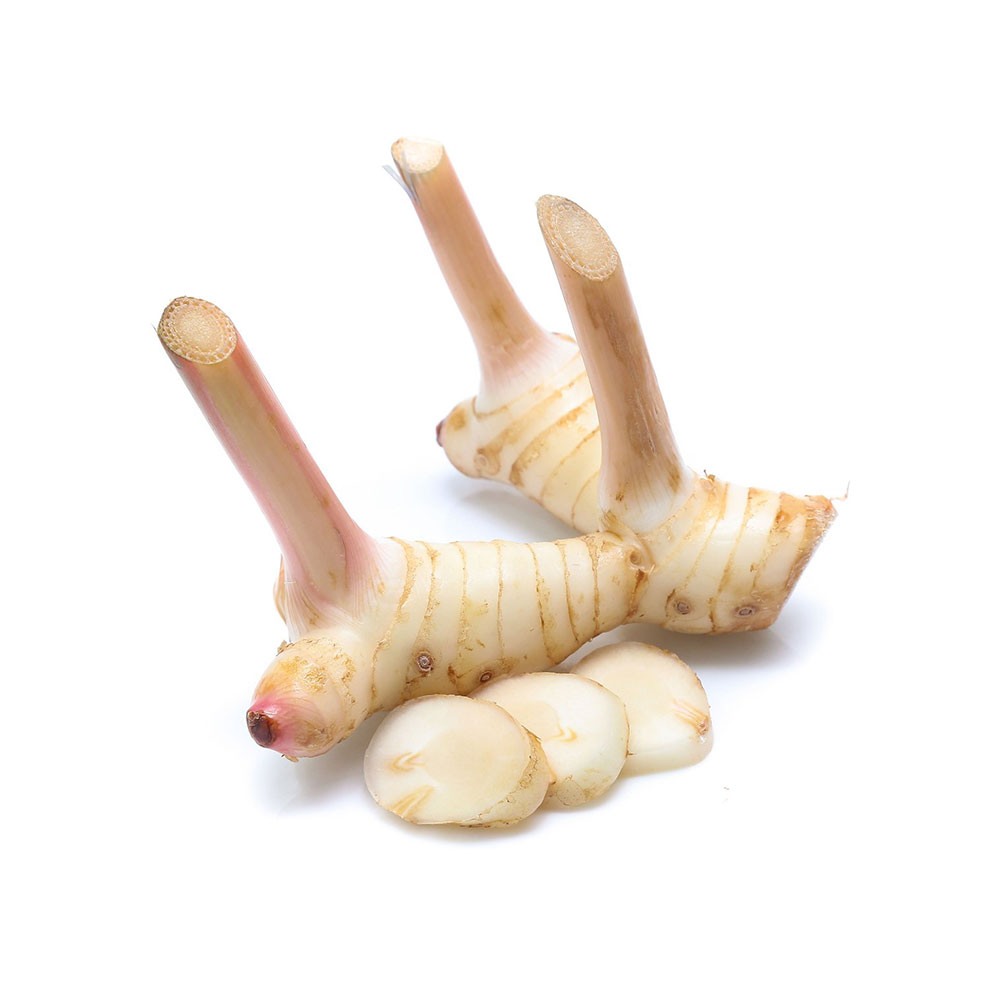 [2020] Galangal