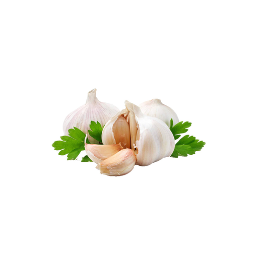 [2227] Garlic India