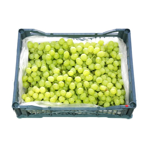 [1846] Grapes Green Seedless Box