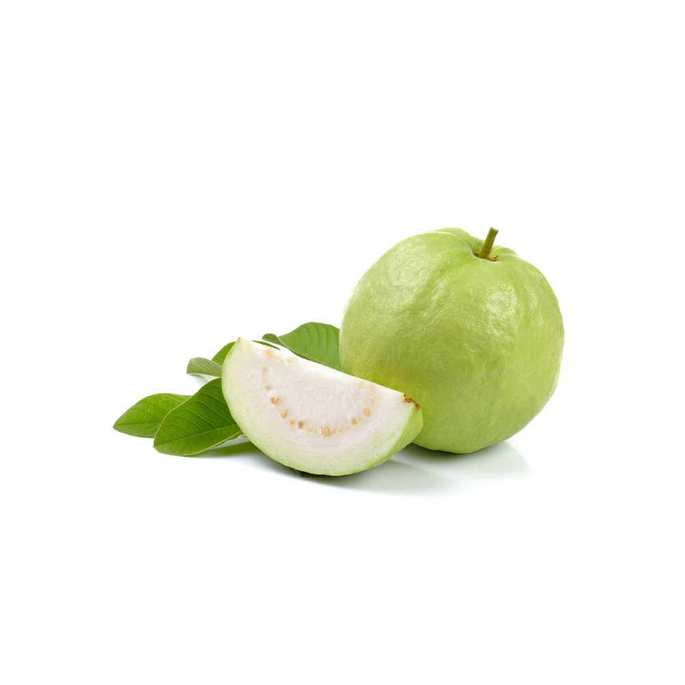 [1152] Guava (Vietnam)