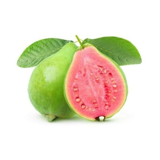 [18293] Guava Red Vietnam
