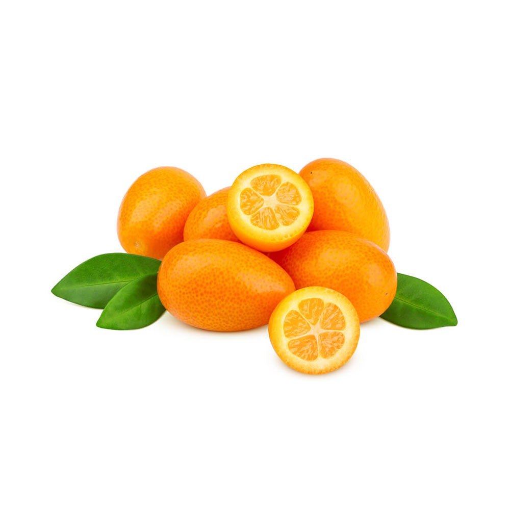 [2183] Kumquat