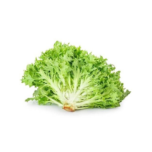 [2101] Lettuce Frisse Green Holland