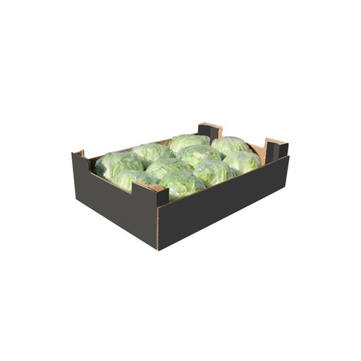 [1868] Lettuce Iceberg Box