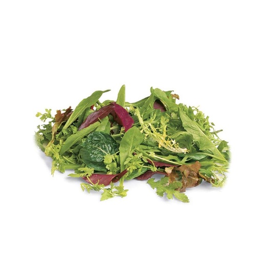 [3624] Lettuce Mesclun Mix Italy