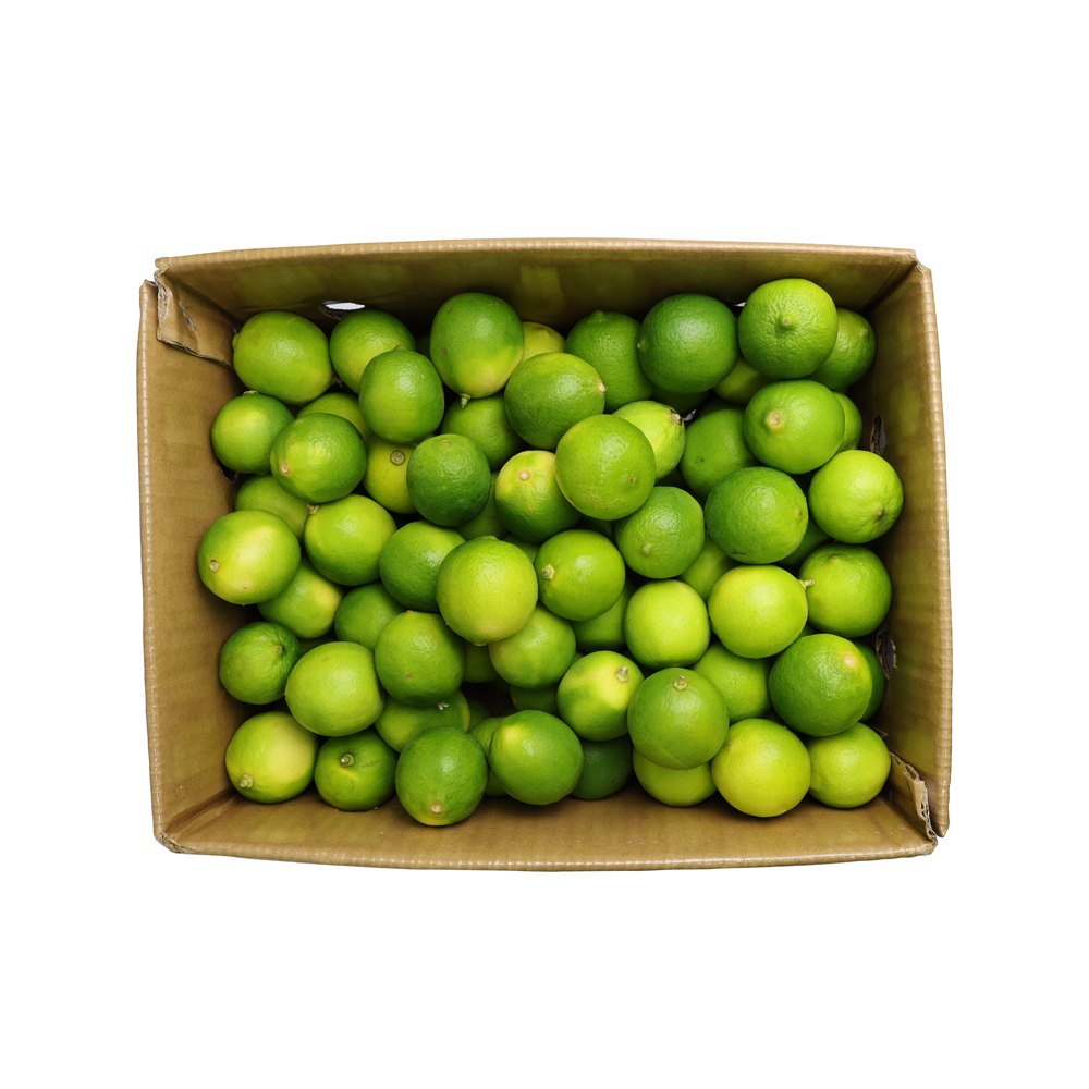 [3630] Lime Green Box (Vietnam)