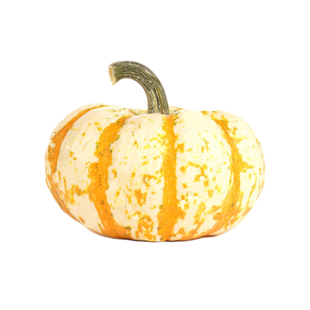 [11038] Líl Tiger Pumpkin Halloween