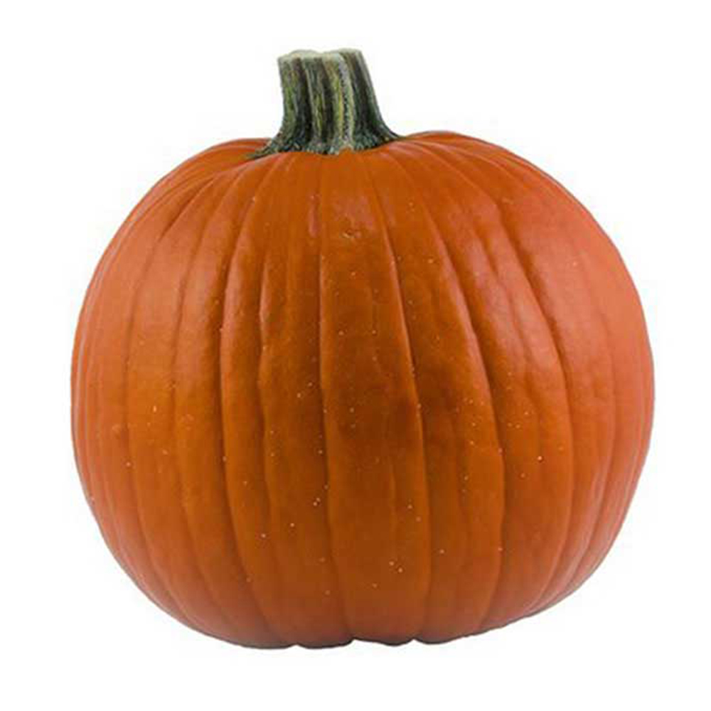 [11041] Medium Halloween Pumpkin