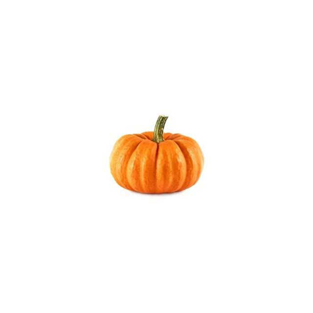 [11043] Mini Orange Pumpkin Halloween