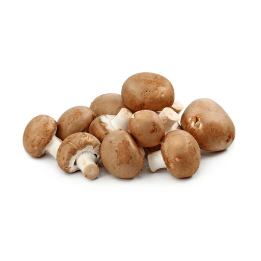 [2307] Mushroom Brown