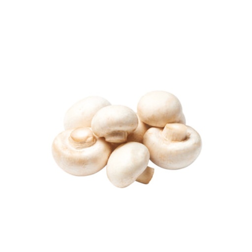 [1224] Mushroom Button