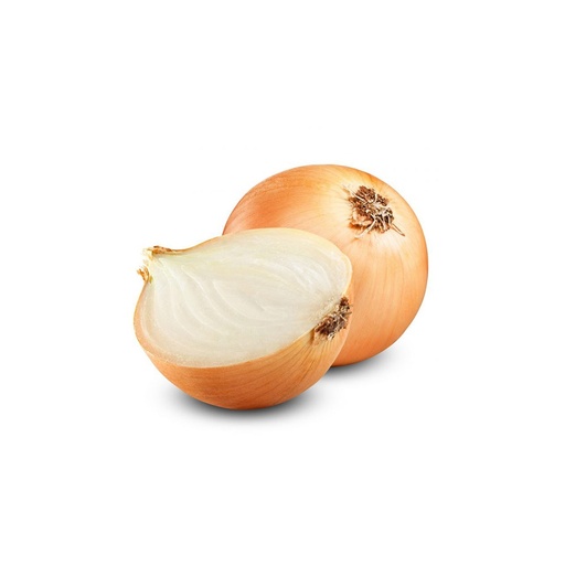 [1235] Onion Brown Spain