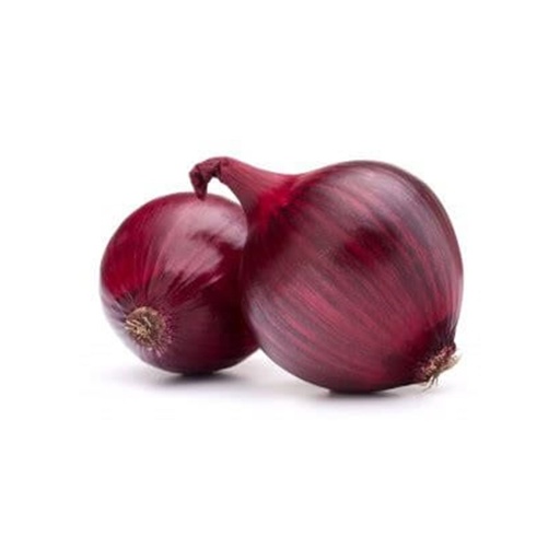 [1772] Onion Red (USA)