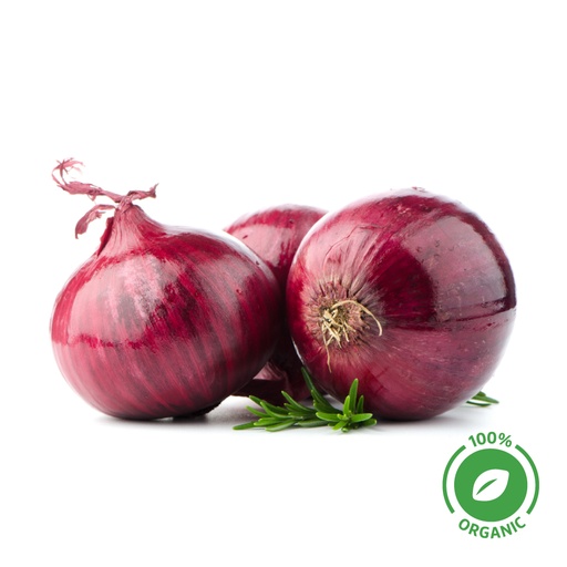 [18699] Onion Red Organic