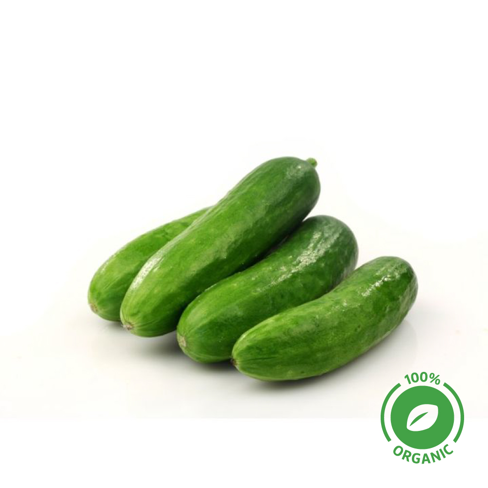 [3886] Snack Cucumber Organic