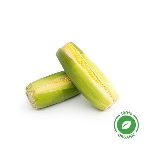 [5052] Sweet Corn Organic