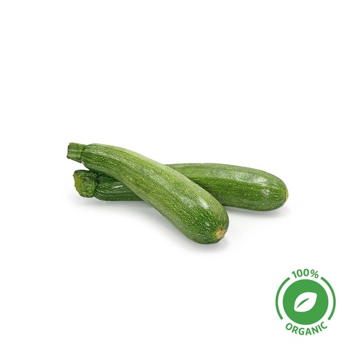 [18241] Zucchini Green Organic