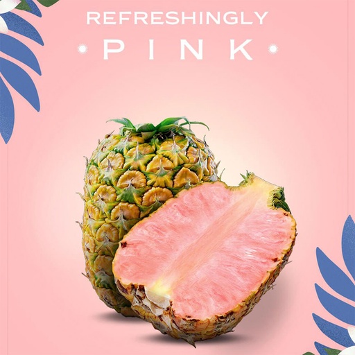 [3978] Pineapple Pink Costa Rica