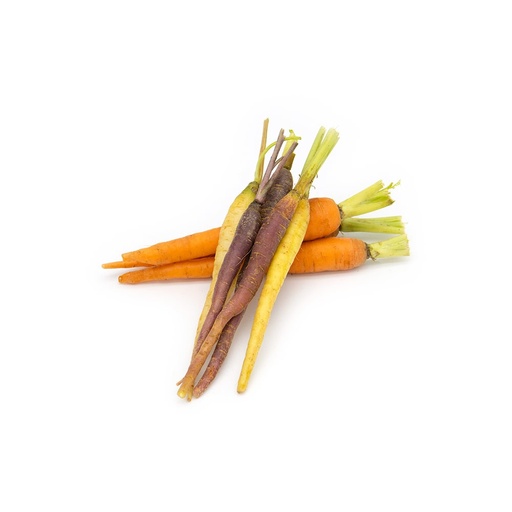 [2215] Rainbow Carrot