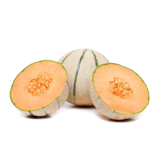[1321] Rock Melon