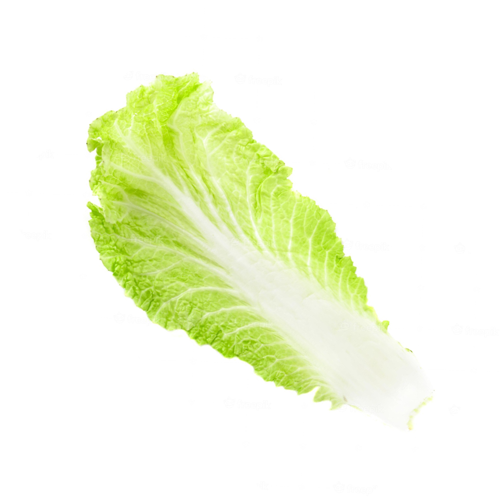 [2065] Cabbage Chinese Leaf Sanitized