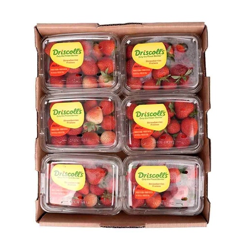 [4186] Strawberry Premium Driscolls (12 Packs)