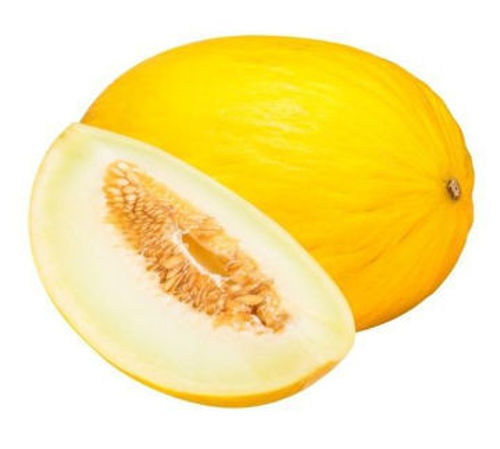 [1358] Sweet Melon