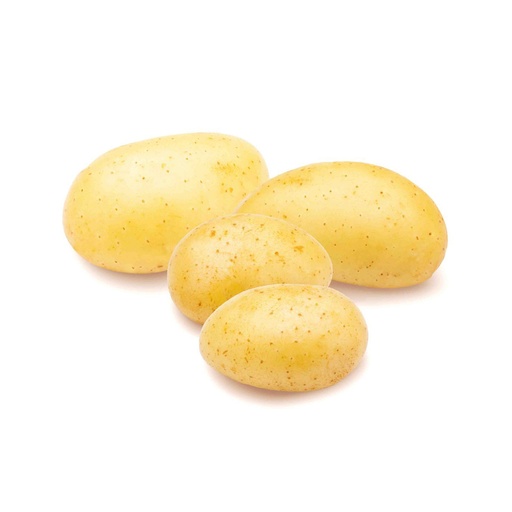 [18742] Potato Agria