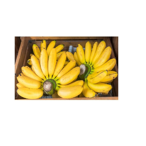 [1074] Banana Small Box