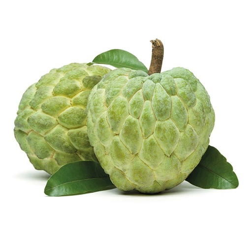 [9102] Custard apple Brazil