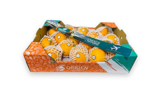 [9128] Granadilla Box