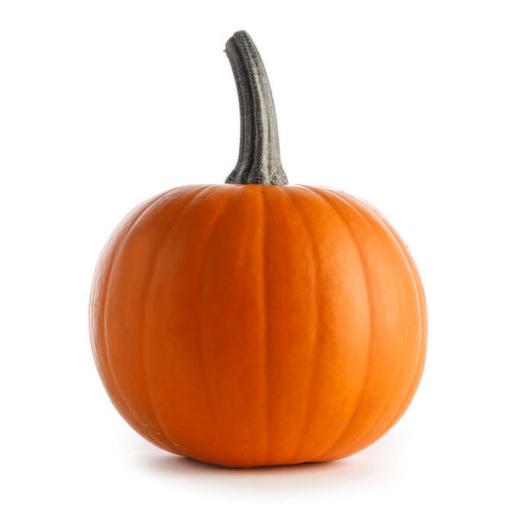 [9411] Mystical Jack Pumpkin