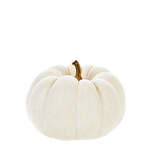 [12202] White Pie Pumpkin Halloween